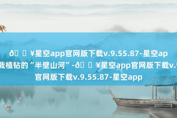 🔥星空app官网版下载v.9.55.87-星空app险些占据了大众栽植钻的“半壁山河”-🔥星空app官网版下载v.9.55.87-星空app